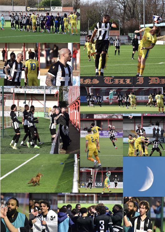 Sutton Common Rovers v Tooting and Mitcham United - 24 January 2026